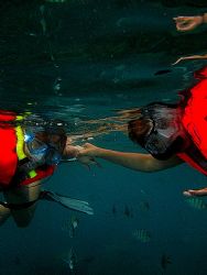 My wife is a snookellers...taken at Perhentian Island, Tu... by Zafarol Lokman 